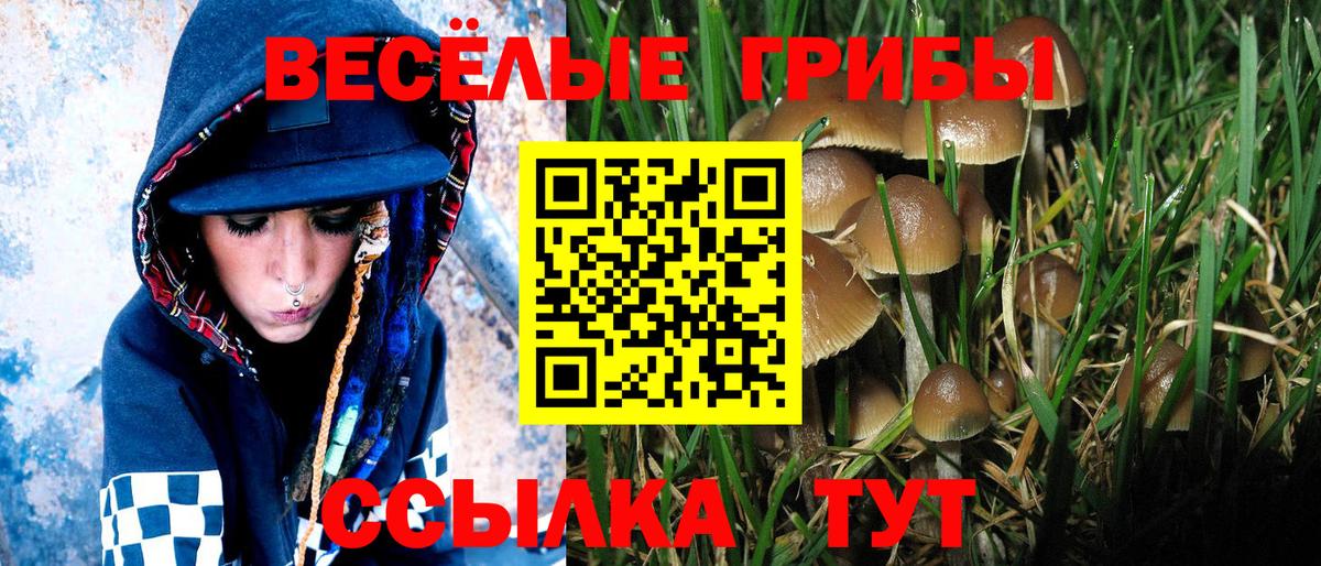 Нальчик  Галлюциногенные грибы ЛСД  Вход с VPN 
