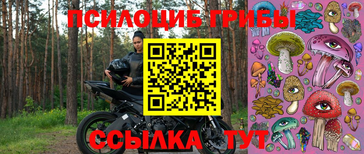 Галлюциногенные грибы мухоморы Нальчик